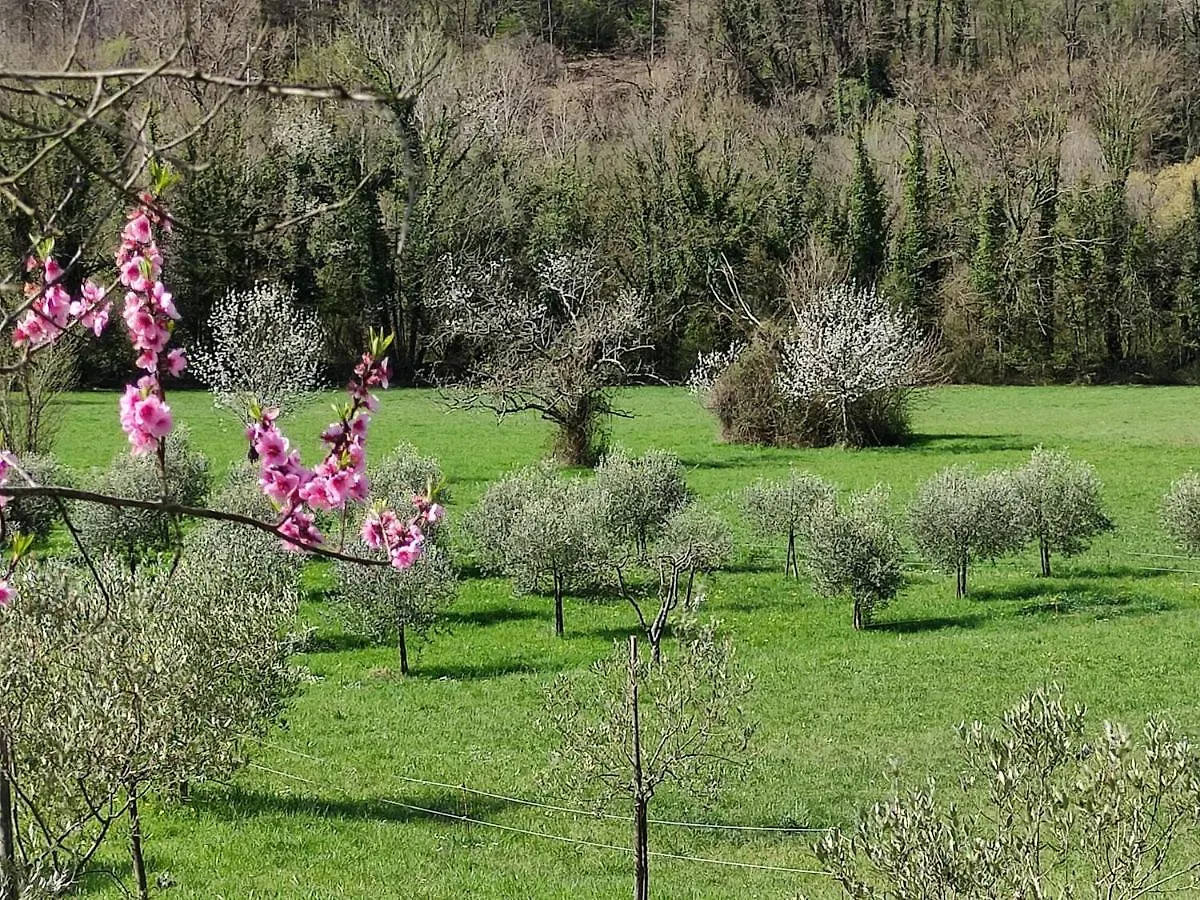 Holiday home Lissahouse Agriturismo San Pietro Vara