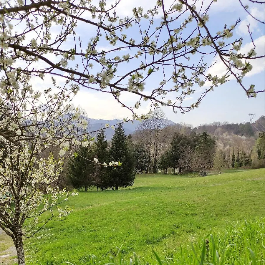 Holiday home Lissahouse Agriturismo San Pietro Vara Italy